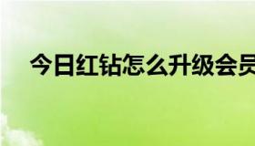 今日红钻怎么升级会员（红钻怎么升级）