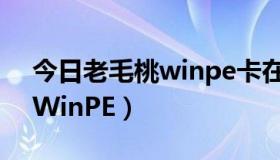 今日老毛桃winpe卡在正在初始化（老毛桃WinPE）