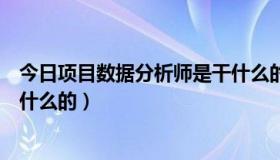 今日项目数据分析师是干什么的工作（项目数据分析师是干什么的）