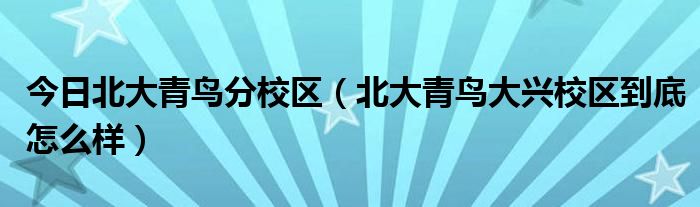今日北大青鸟分校区（北大青鸟大兴校区到底怎么样）