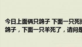 今日上面俩只鸽子 下面一只死掉的羊是什么意思（上面两只鸽子，下面一只羊死了，请问是什么意思）