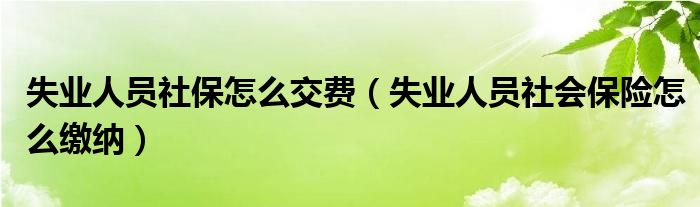 失业人员社保怎么交费（失业人员社会保险怎么缴纳）