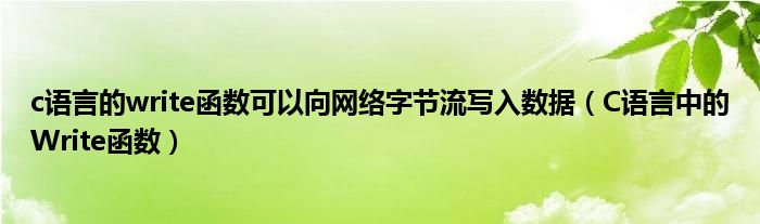 c语言的write函数可以向网络字节流写入数据（C语言中的Write函数）