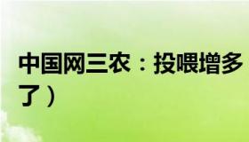 中国网三农：投喂增多（独臂猴“星星”挑食了）