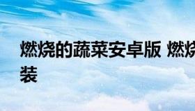 燃烧的蔬菜安卓版 燃烧的蔬菜经典版下载安装