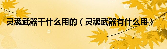 灵魂武器干什么用的（灵魂武器有什么用）