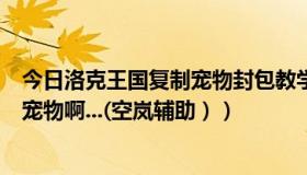 今日洛克王国复制宠物封包教学视频（洛克王国里怎么复制宠物啊...(空岚辅助））