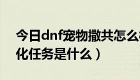 今日dnf宠物撒共怎么样（DNF撒共35级进化任务是什么）