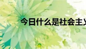 今日什么是社会主义市场经济体制