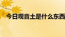 今日观音土是什么东西?（观音土是什么）