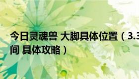 今日灵魂兽 大脚具体位置（3.35灵魂兽大角 在哪 及刷新时间 具体攻略）