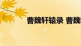 曹魏轩辕录 曹魏轩辕录好难）