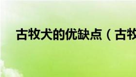 古牧犬的优缺点（古牧犬的价格是多少）