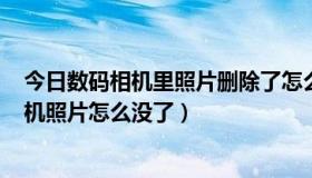 今日数码相机里照片删除了怎么恢复（SONYW350数码相机照片怎么没了）
