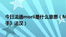 今日法语morii是什么意思（Mojang是什么意思 《法语助手》法汉）