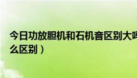 今日功放胆机和石机音区别大吗（石机功放与胆机功放有什么区别）