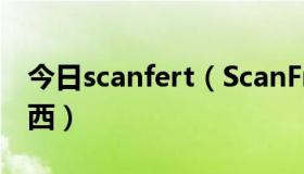 今日scanfert（ScanFrm.exe 这是个什么东西）