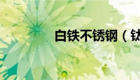 白铁不锈钢（钛金不锈钢）