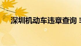 深圳机动车违章查询 非机动车违章查询