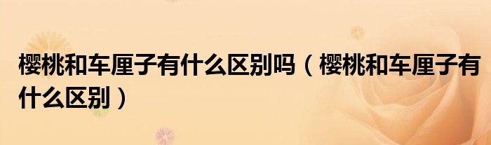 樱桃和车厘子有什么区别吗（樱桃和车厘子有什么区别）