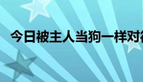 今日被主人当狗一样对待（怎样调教狗奴）