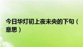 今日华灯初上夜未央的下句（‘华灯初上，夜未央’是什么意思）