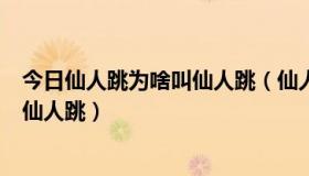 今日仙人跳为啥叫仙人跳（仙人跳是什么意思，又为什么叫仙人跳）