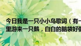 今日我是一只小小鸟歌词（有一首儿歌歌词大概是“前面湖里游来一只鹅，白白的脑袋好像有话要对）