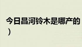 今日昌河铃木是哪产的（昌河铃木汽车怎么样）