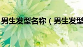 男生发型名称（男生发型名称大全图解 短发）
