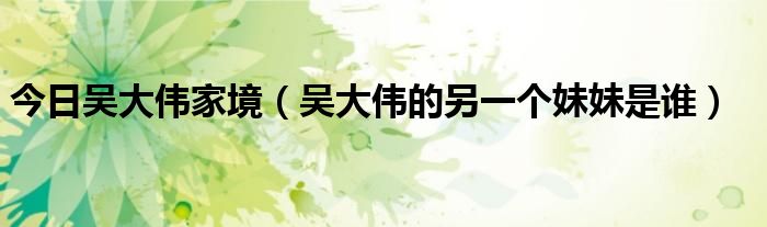 今日吴大伟家境（吴大伟的另一个妹妹是谁）