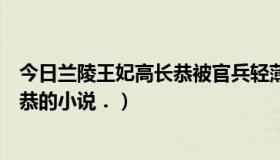 今日兰陵王妃高长恭被官兵轻薄了（有没有关于兰陵王高长恭的小说．）
