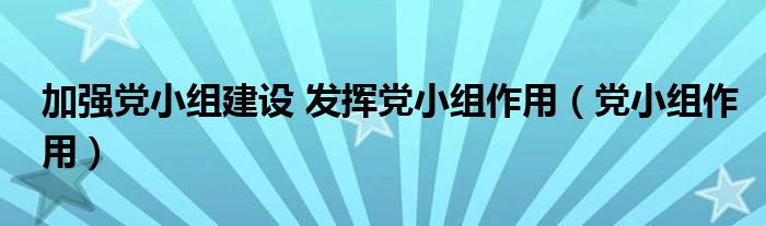 加强党小组建设 发挥党小组作用（党小组作用）