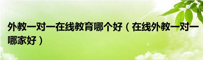 外教一对一在线教育哪个好（在线外教一对一哪家好）