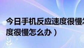 今日手机反应速度很慢怎么办啊（手机反应速度很慢怎么办）