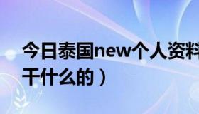 今日泰国new个人资料中文名字（泰国new干什么的）
