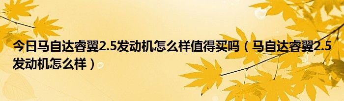 今日马自达睿翼2.5发动机怎么样值得买吗（马自达睿翼2.5发动机怎么样）