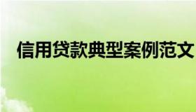 信用贷款典型案例范文 个人信贷案件案例