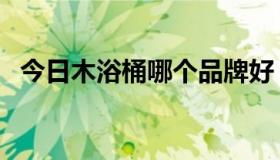 今日木浴桶哪个品牌好（木浴桶价格多少）