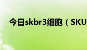 今日skbr3细胞（SKULL3的B模式用法）