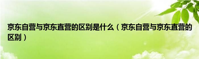 京东自营与京东直营的区别是什么（京东自营与京东直营的区别）