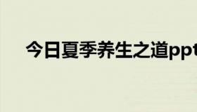 今日夏季养生之道ppt（夏季养生之道）