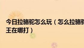今日拉骆驼怎么玩（怎么拉骆驼，具体点，条件是什么骷髅王在哪打）