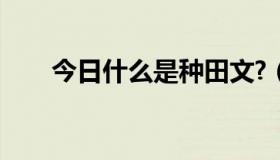 今日什么是种田文?（什么是种田文）