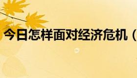 今日怎样面对经济危机（如何面对经济危机）