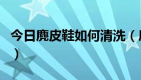今日麂皮鞋如何清洗（麂皮靴子怎么清洗窍门）