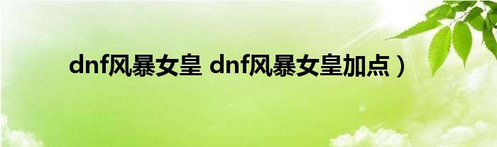 dnf风暴女皇 dnf风暴女皇加点）