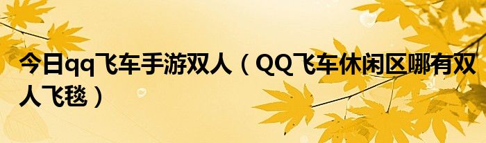 今日qq飞车手游双人（QQ飞车休闲区哪有双人飞毯）