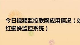 今日视频监控联网应用情况（如何在保持联网的情况下破解红蜘蛛监控系统）