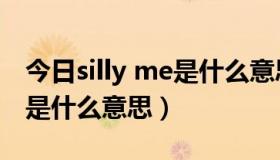 今日silly me是什么意思英语翻译（silly me是什么意思）